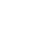 Roots Photography